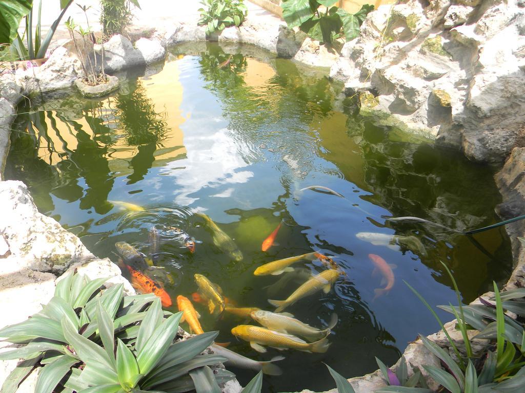 Hacienda Coba Bed and Breakfast Εξωτερικό φωτογραφία